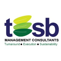 TESB Management Consultants logo - Similar company to Crest Agro Products Limited