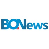 BONews Service logo - Similar company to Dataphyte Academy