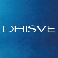 DHISVE logo - Similar company to Mudesa