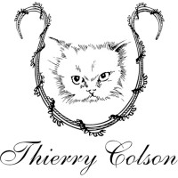 Thierry Colson logo - Similar company to Imprim Plus