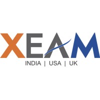 Xeam Global LLC. logo - Similar company to Multi Channel Creative