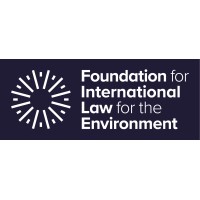 FILE logo - Similar company to Future Quantum Convergence Forum (Fqcf)