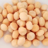 Super Tropical Fruits and Nuts Limited logo - Similar company to Afrika Botanicals