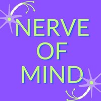 Nerve Of Mind logo - Similar company to Joo Digital