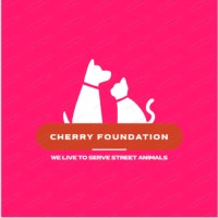 Cherry Foundation logo - Similar company to Cherry Creek Schools Foundation