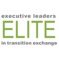 ELITE Chicago logo - Similar company to Fei Chicago