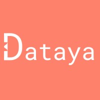 Dataya logo - Similar company to Medyaan