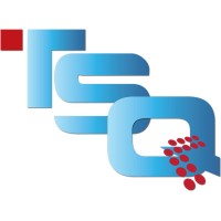 Tsq Consulting logo - Similar company to Hellobit