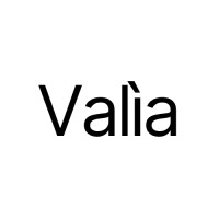 Valìa logo - Similar company to Mundo En Clave