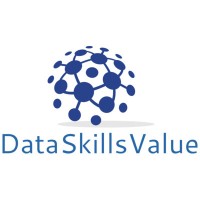 DataSkillsValue logo - Similar company to Dataskill