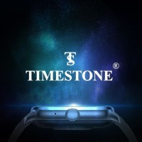 Timestone Watch logo - Similar company to Timestone Aps