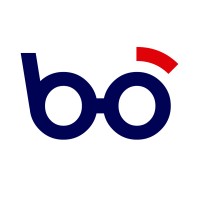 Bonas Marketing logo - Similar company to Web Design Advisor (Wda)