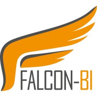 Falcon-BI logo - Similar company to Falcon Analytics