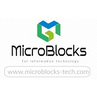 MicroBlocks logo - Similar company to Cifdaq