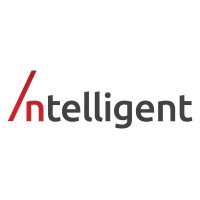 Ntelligent Systems logo - Similar company to Icars Powered By Limos.Com