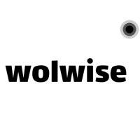 wolwise logo - Similar company to Screl Information Technology
