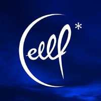 ELLF* Conception Lumière logo - Similar company to Ikomē