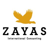 Zayas International logo - Similar company to Solo