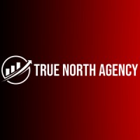 True North Agency Ltd logo - Similar company to True North Digital Marketing Agency
