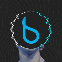 Biztems s.r.l. logo - Similar company to Spotinsight