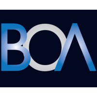 Blue Orange Asia Digital Brand Marketing Agency logo - Similar company to Like Art Creation