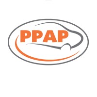 PPAP Automotive Limited logo - Similar company to Ppap Technology Limited