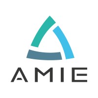 AMIE logo - Similar company to Amie Consulting