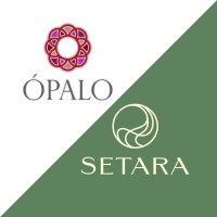 Ópalo I Setara logo - Similar company to Cora Chocolate