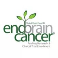 The EndBrainCancer Initiative - (The Chris Elliott Fund) logo - Similar company to Dna Consulting