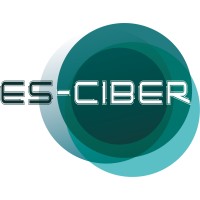 ES-CIBER logo - Similar company to Ciber-Shube