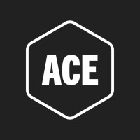 ACE Ventures logo - Similar company to Effectusbr