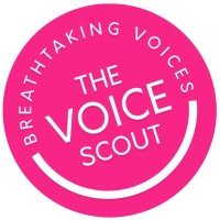 Voice Scout logo - Similar company to Destiny Ventures International