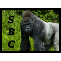 Silverback Consulting, Inc.