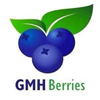 GMH Berries S.A.C. logo - Similar company to Smart Packing Sac