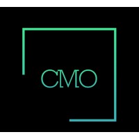 The Consulting CMO logo - Similar company to Finplays.Com