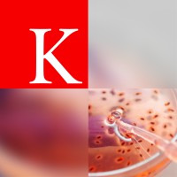 King's Innovation Catalyst logo - Similar company to Sales Elevate Lab