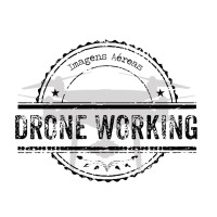 Drone Working logo - Similar company to Drone Schon