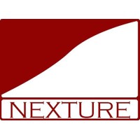 Nexture Consulting logo - Similar company to Chickdev