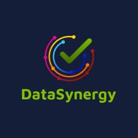 Data Synergy logo - Similar company to Data Synergy
