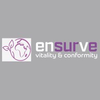 ensurve Ltd logo - Similar company to Carymar Construction Services Limited