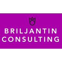 Briljantin Consulting logo - Similar company to Timber Windows Sverige