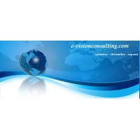 e-visionconsulting.com