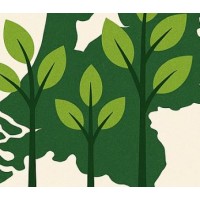 Meer bos in Nederland (voorheen Nationale Bossenmakelaar) logo - Similar company to Greendms B.V.