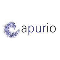 apurio Umwelttechnik GmbH logo - Similar company to Bj Gmbh