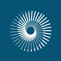 Dandelion Aviation logo - Similar company to Diamond Aero S.R.L.