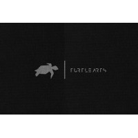 TurtleArts Photography logo - Similar company to Path. People In Architecture Transforming Habitats