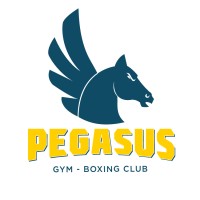 A.S.D. Pegasus Gym & Boxing Club - Matera logo - Similar company to Matera Tech