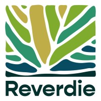 Reverdie logo - Similar company to Fair Echo Advisory