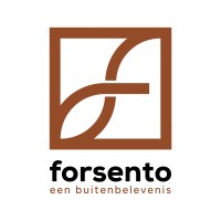 Forsento | Metal Solutions B.V. logo - Similar company to Iq Power Tools® Netherlands