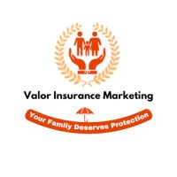 Valor Insurance Marketing private Limited logo - Similar company to Emsource Consulting (Imf Support)